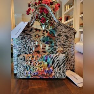 Brahmin Obsession Ombre Melbourne Genuine Leather Small Elaine Satchel